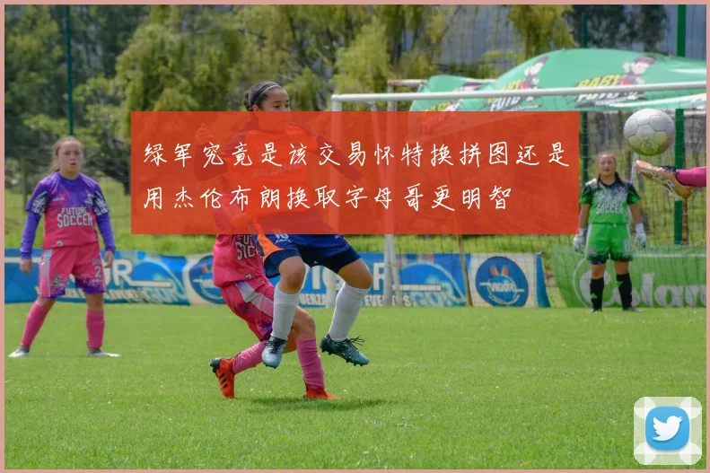 绿军究竟是该交易怀特换拼图还是用杰伦布朗换取字母哥更明智