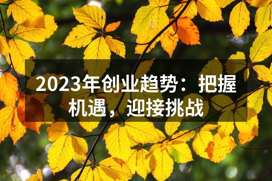 2023年创业趋势：把握机遇，迎接挑战